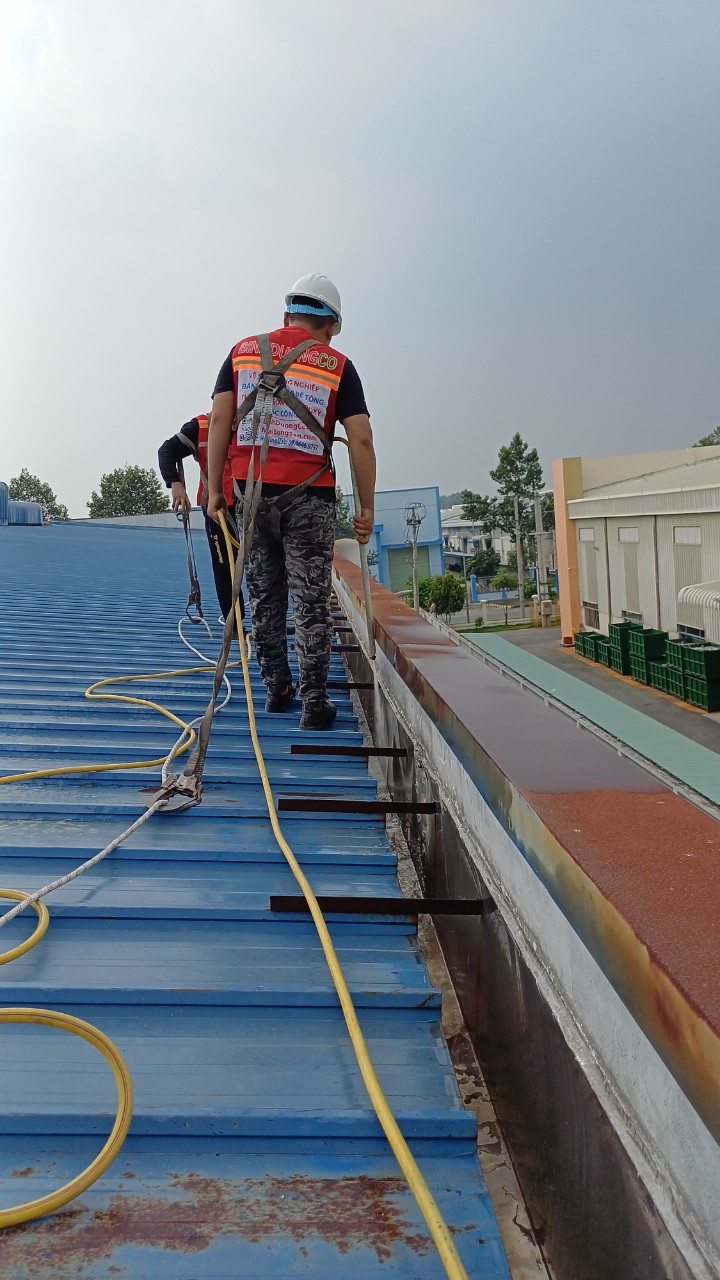 Dịch Vụ Vệ Sinh Mái Nhà Xưởng Tại Bình Dương