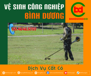 Dịch Vụ Cắt Cỏ Tại Thủ Dầu Một