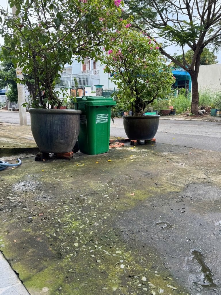 Tẩy rong rêu
